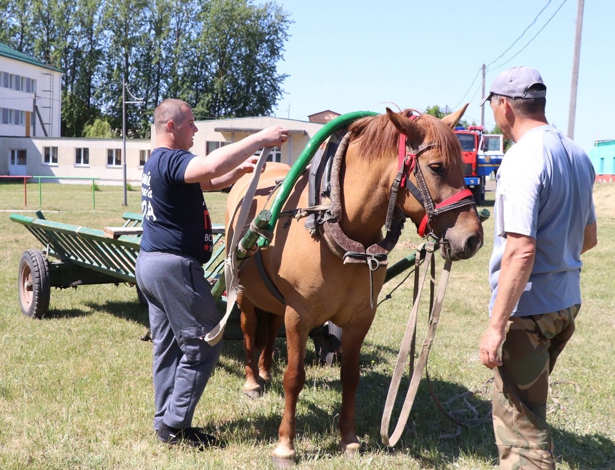 Гродненская область Ивьевский район деревня Добровляны